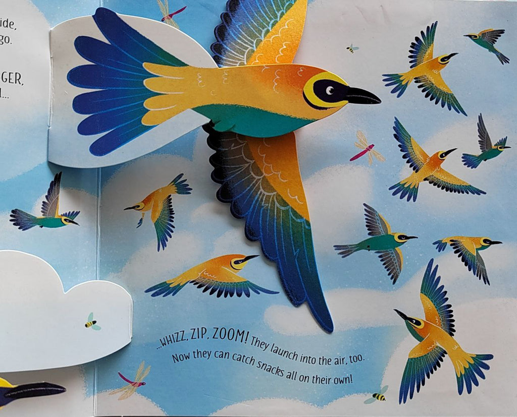Usborne Pop-up Birds – dBookHaus