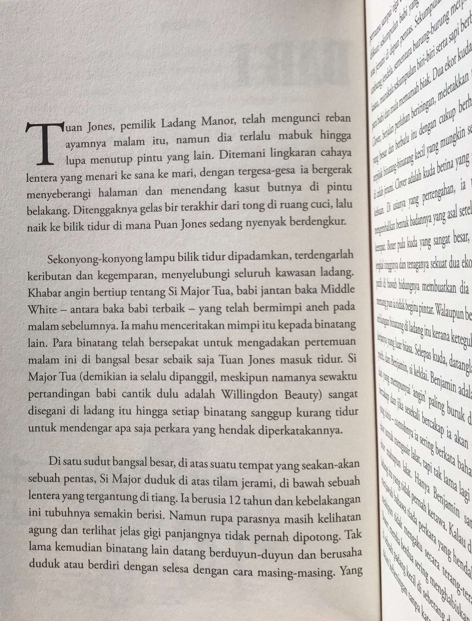 Politik Kandang