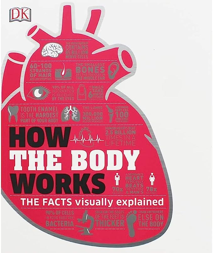 How The Body Works