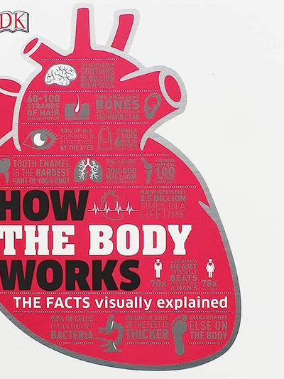 How The Body Works