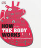 How The Body Works