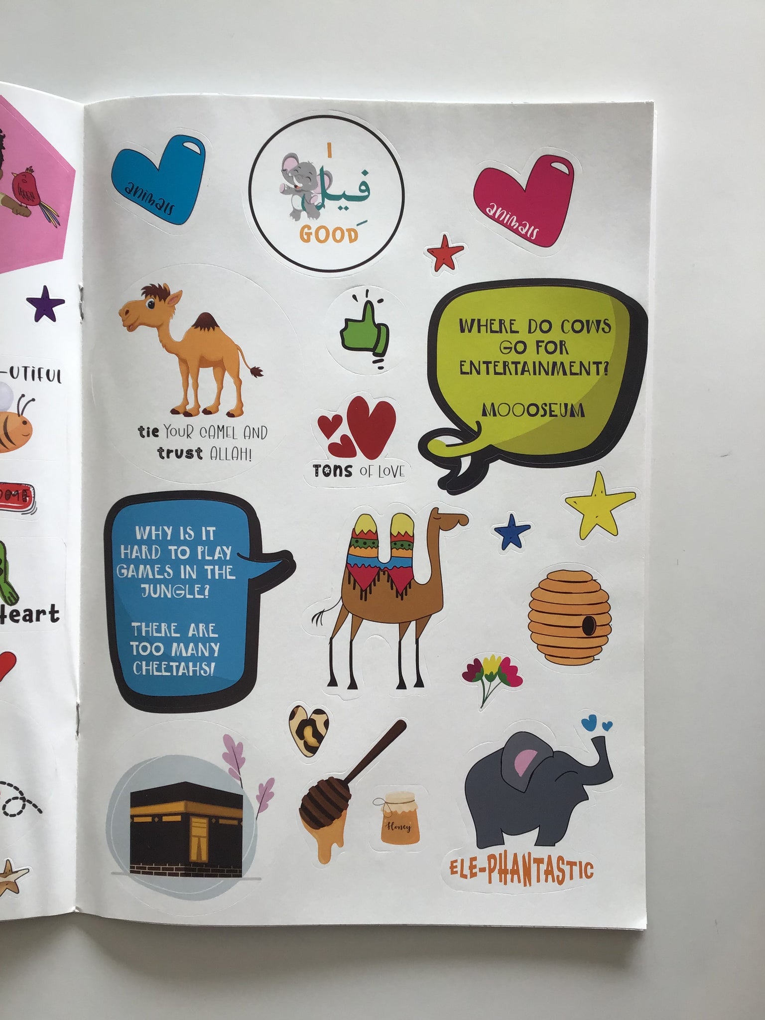 Animals In The Qur'an Activity Book