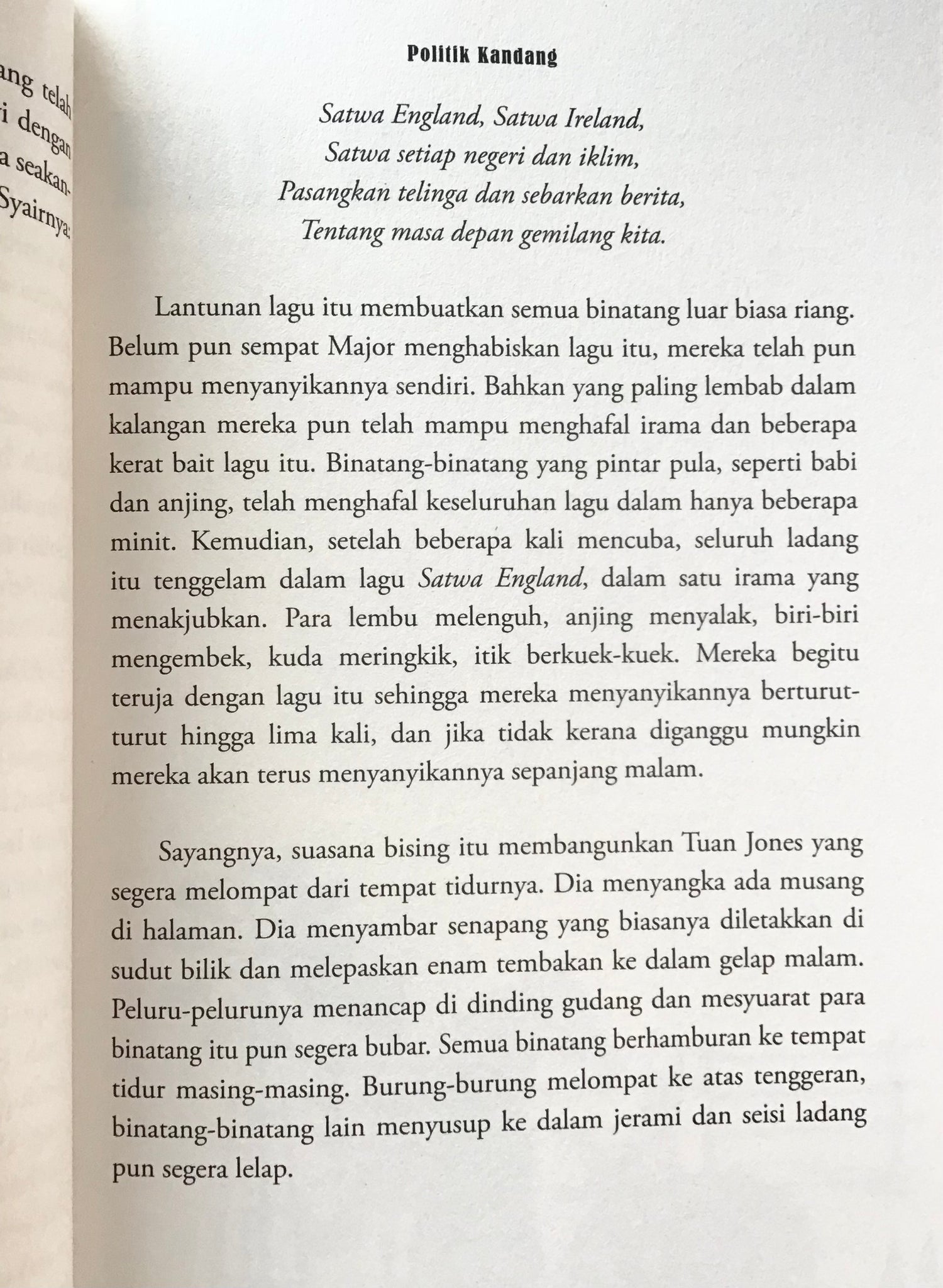 Politik Kandang