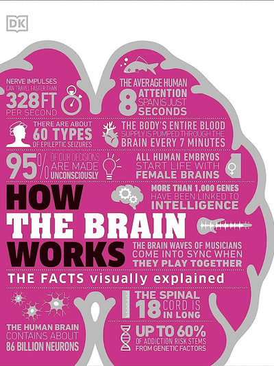 How The Brain Works