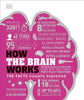 How The Brain Works