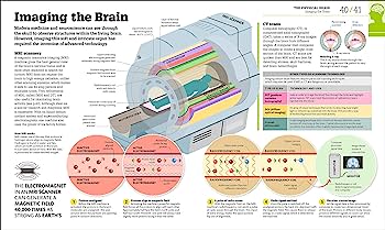 How The Brain Works