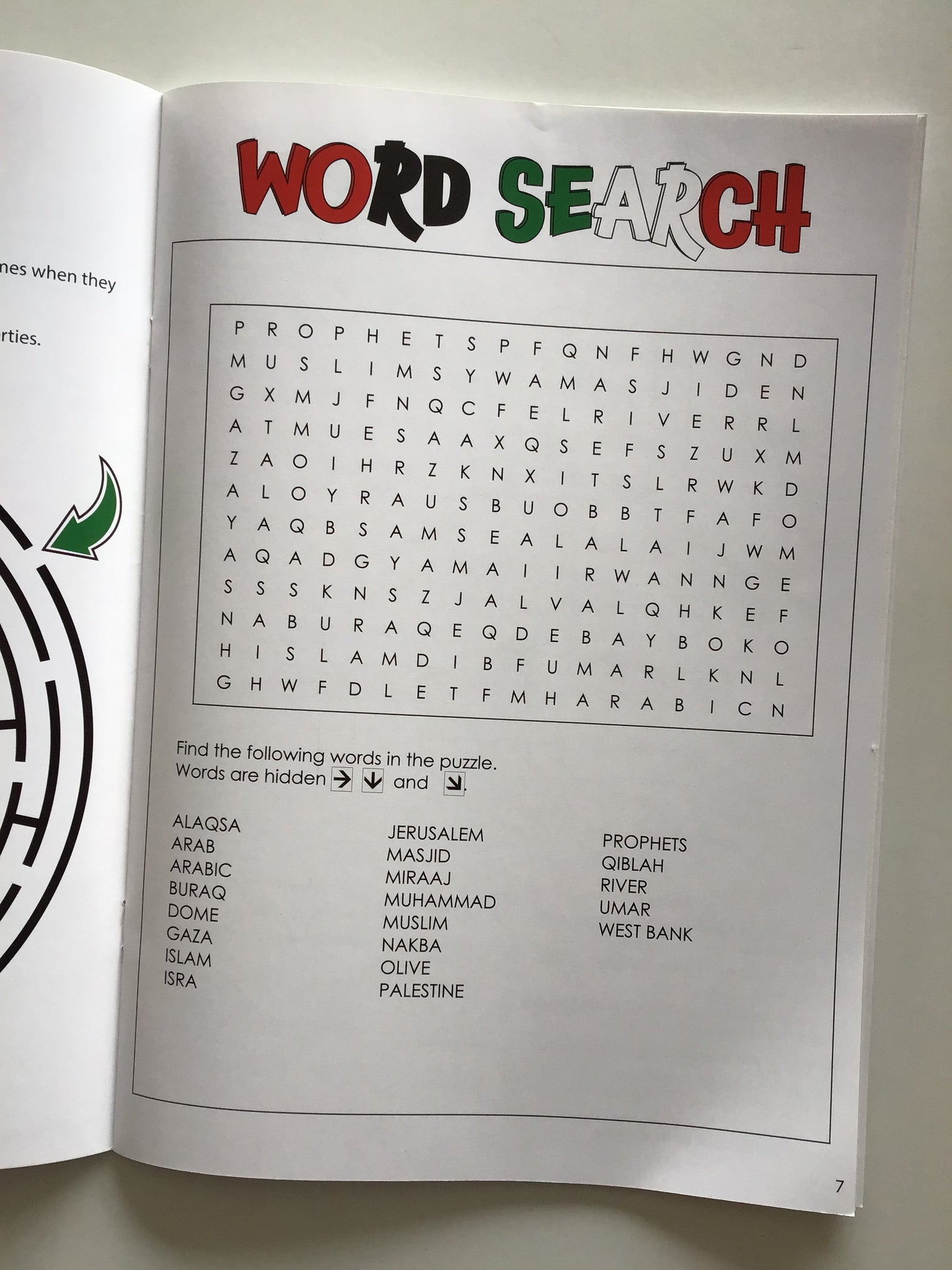 Palestine Activity Book