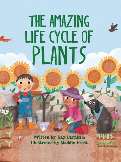 The Amazing Life Cycle of Plants