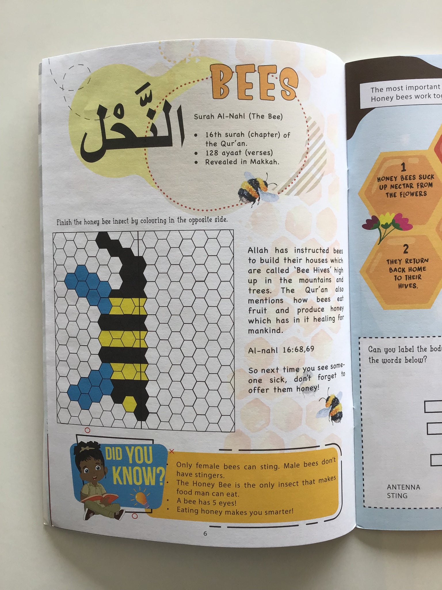 Animals In The Qur'an Activity Book