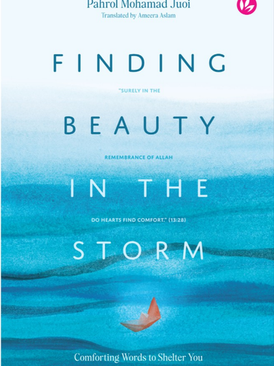 Finding Beauty In The Storm