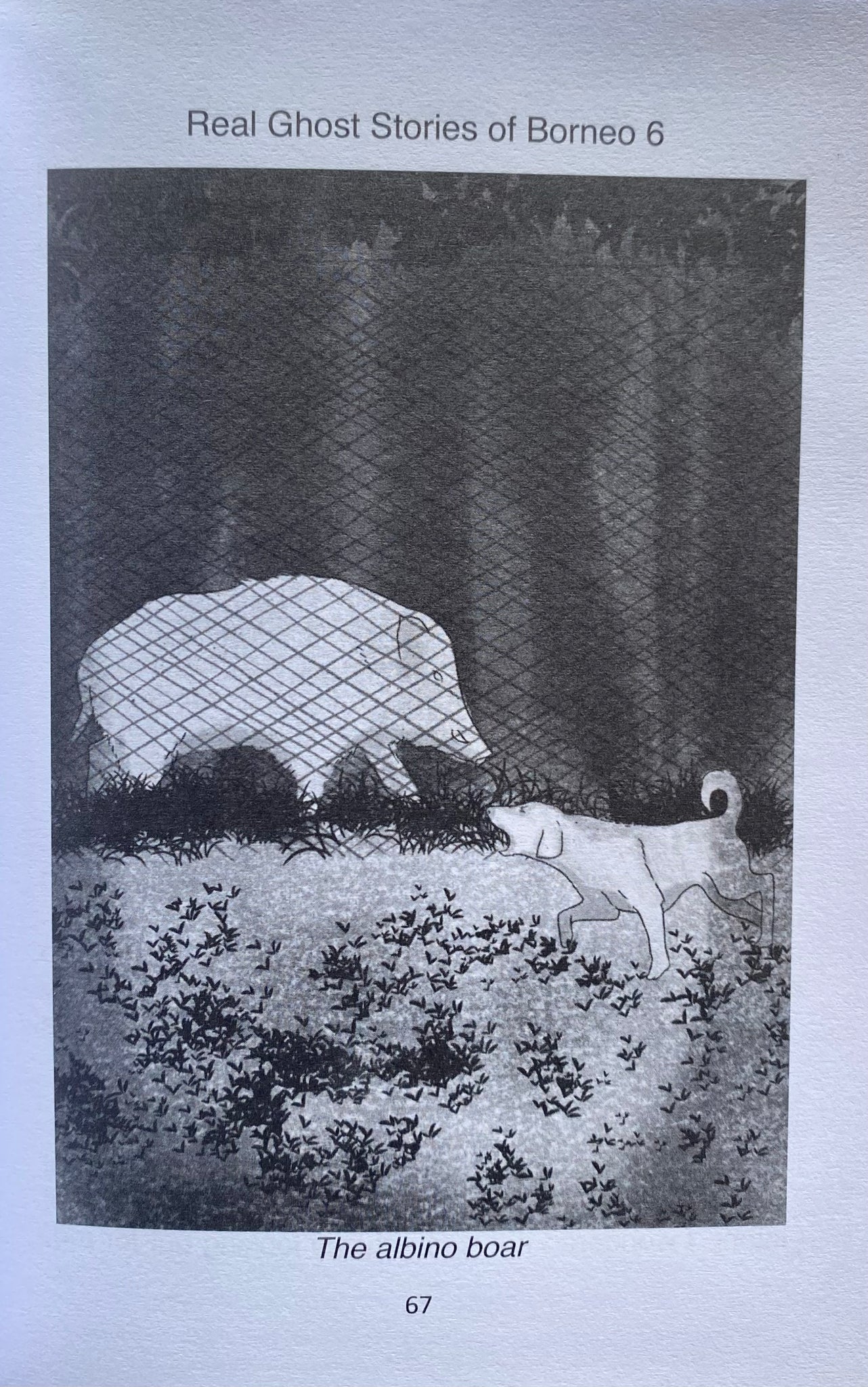 Real Ghost Stories of Borneo 6