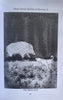 Real Ghost Stories of Borneo 6