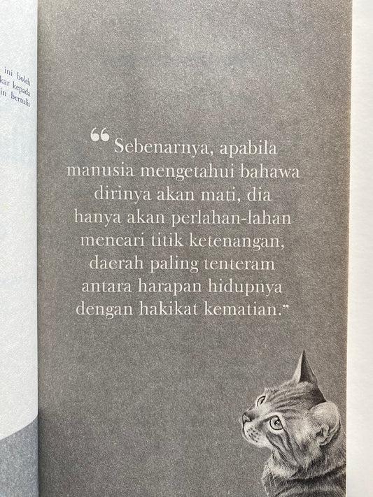 Andai Kucing Hilang Dari Dunia