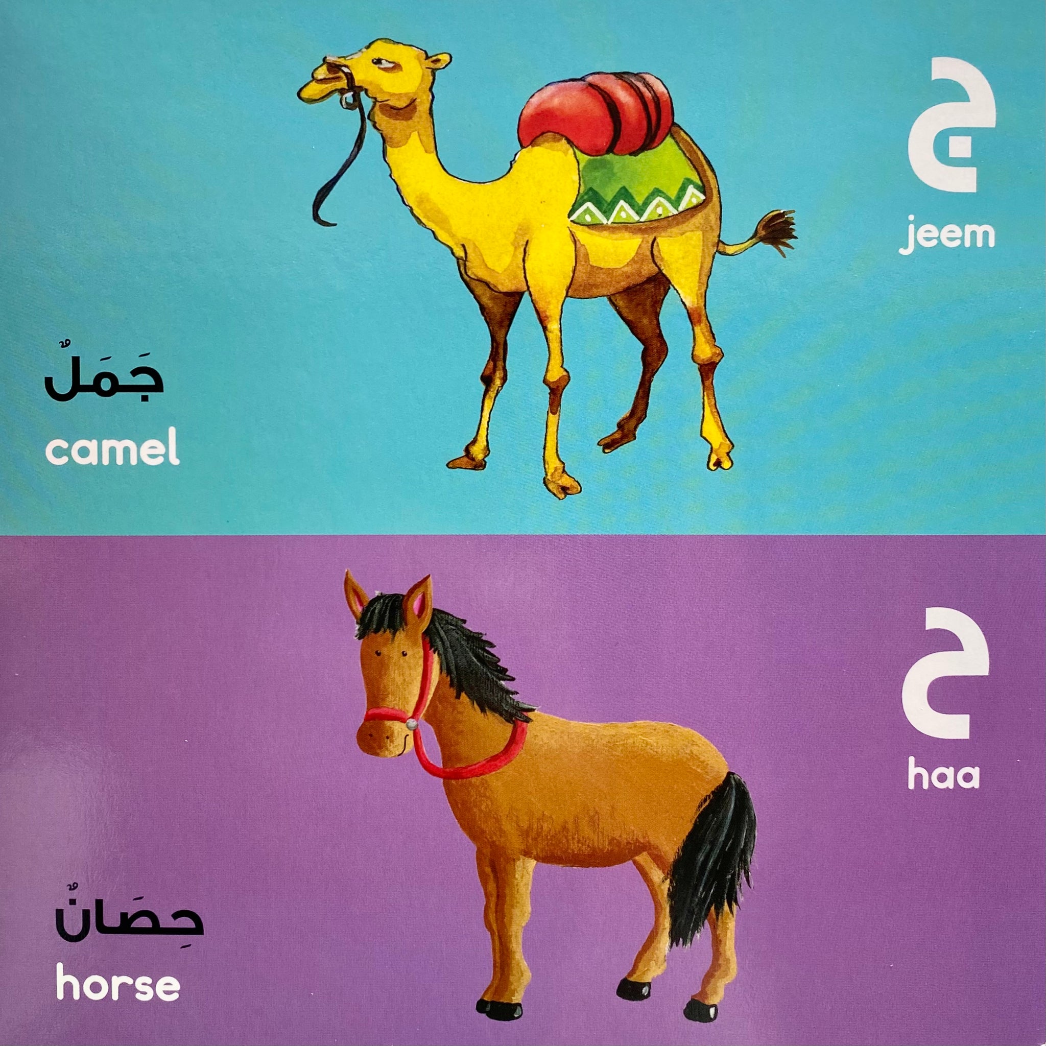 Arabic Alphabet