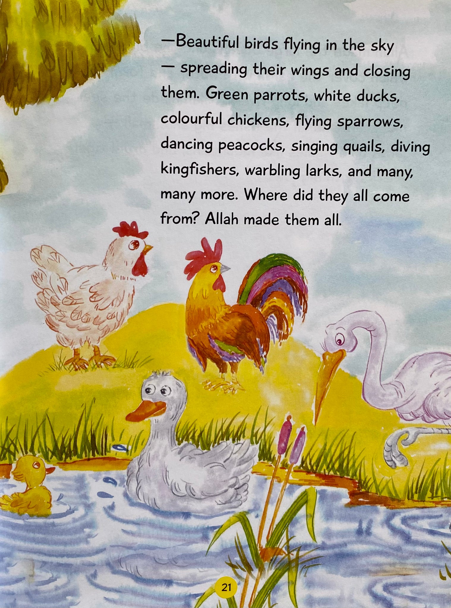 Quran Stories for Kids