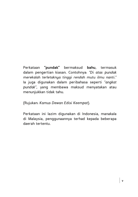 Anak Kecil Yang Kehilangan Pundaknya