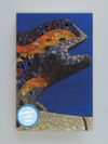 Gaudi Parc  (Ruled Notebook)
