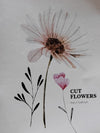 Cut Flowers