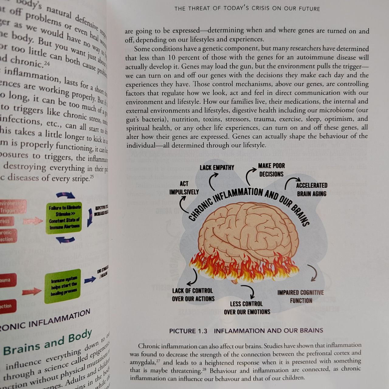 The Quranic Prescription