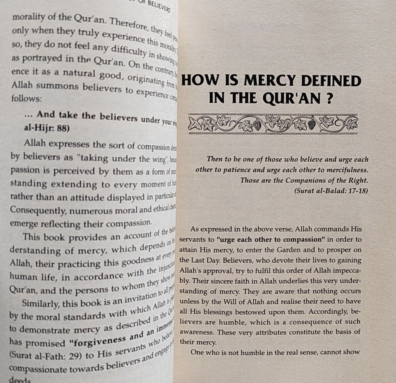 The Mercy Of Believers