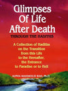 Glimpses Of Life After Death