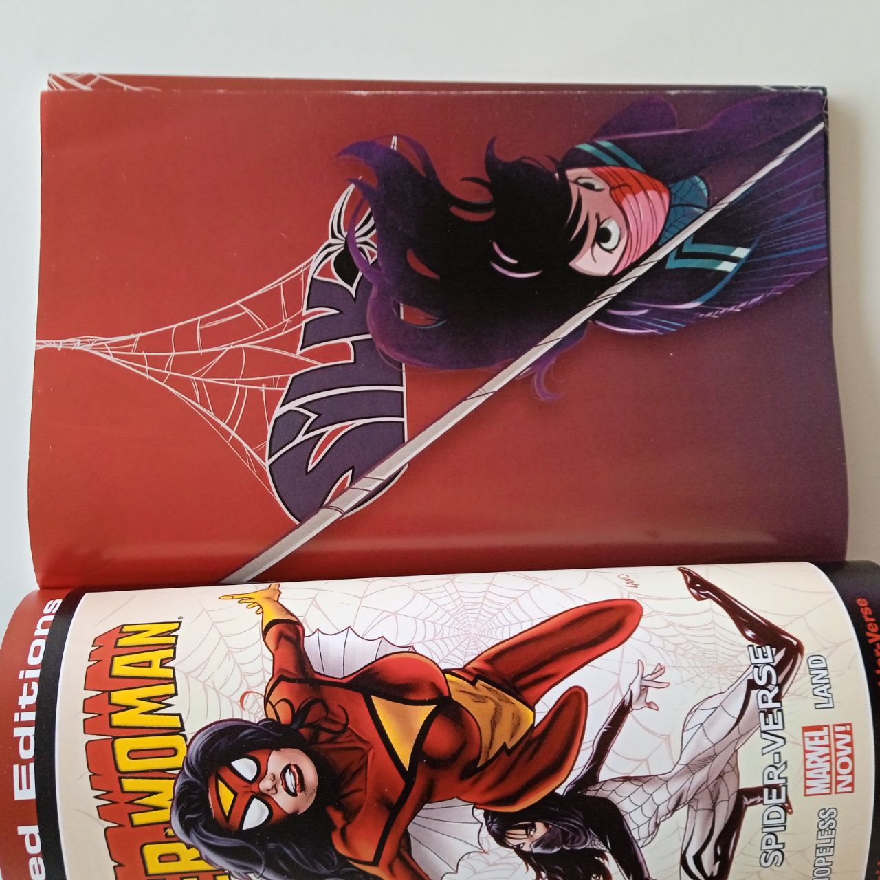 Silk The Life And Times Of Cindy Moon Vol 0