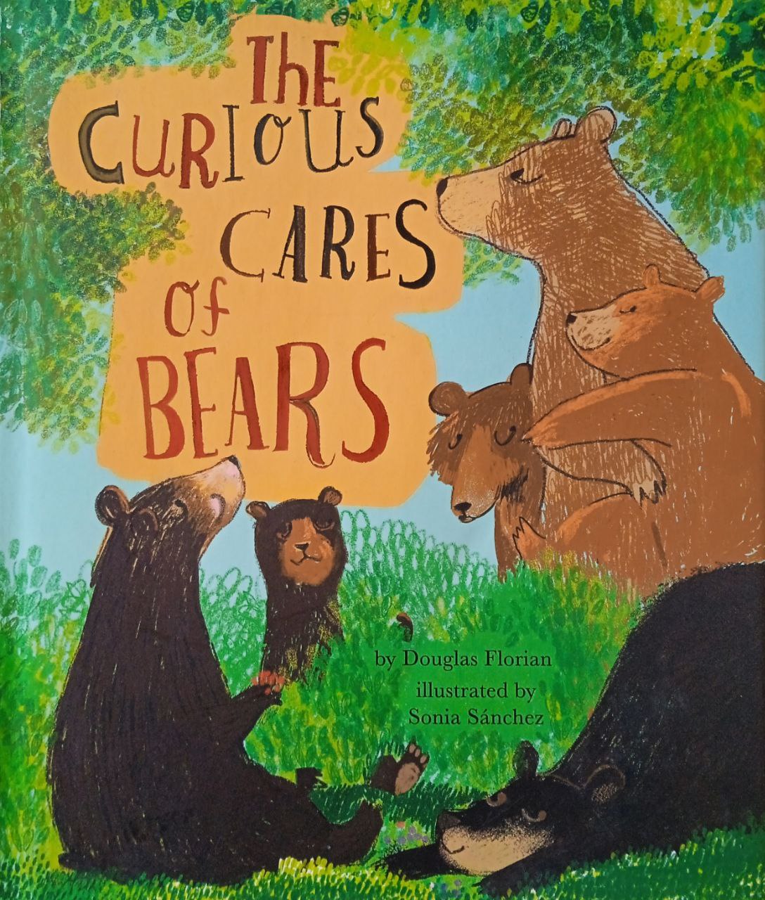 The Curious Cares Of Bears