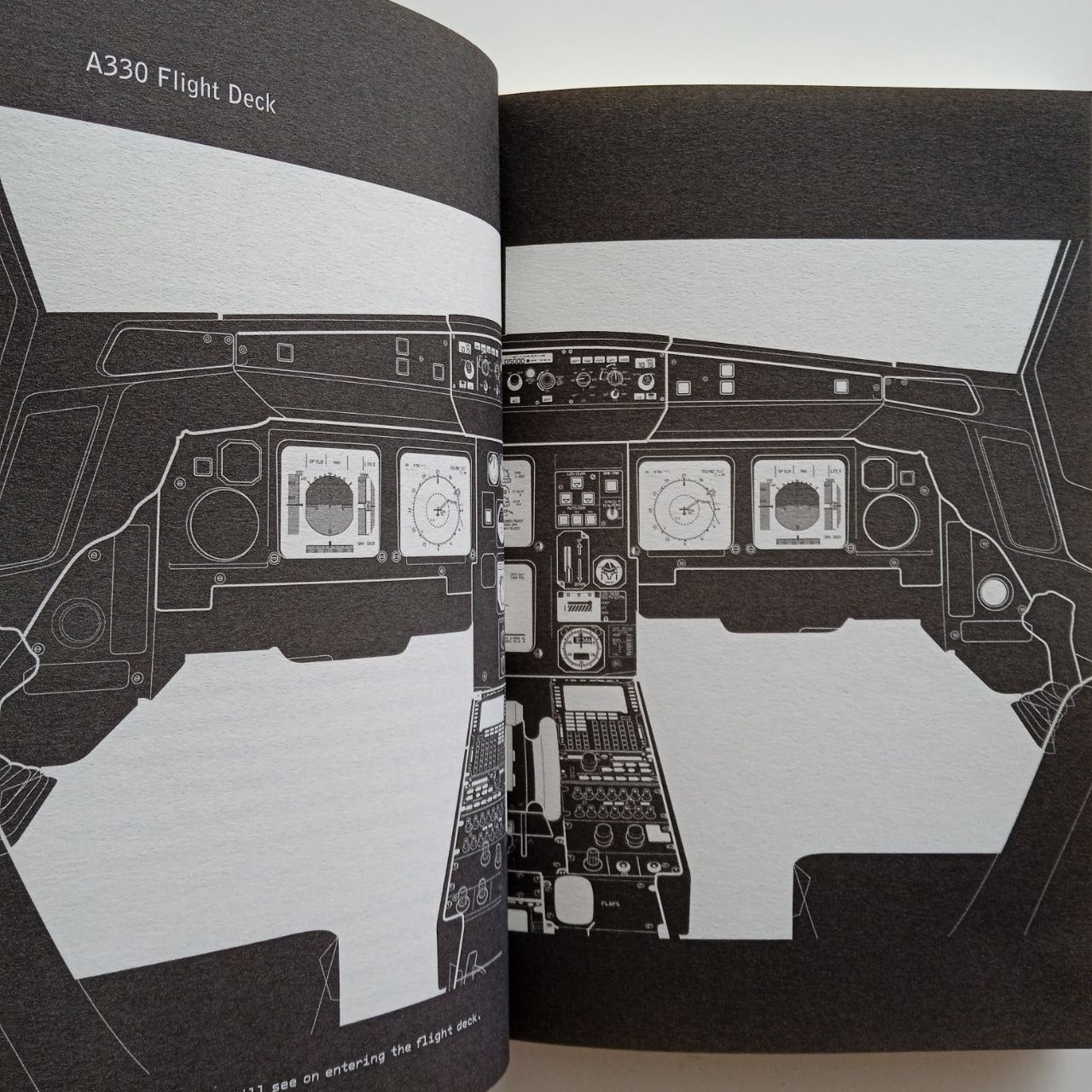 How To Land An A330 Airbus: And Other Vital Skills