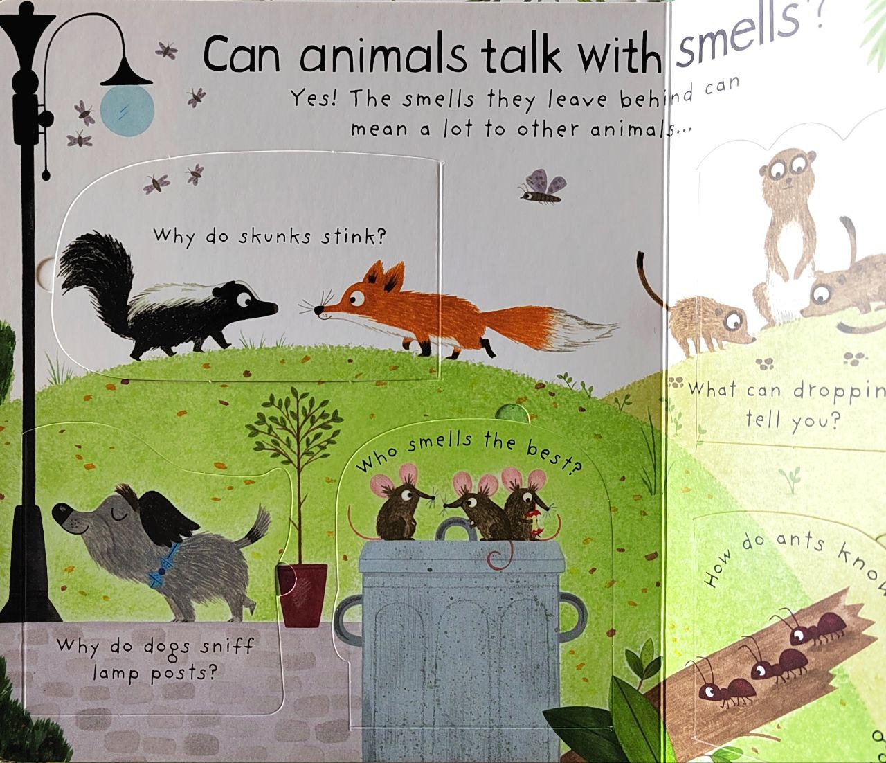 Usborne How Do Animals Talk?