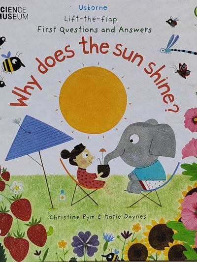 Usborne Why Does The Sun Shine?