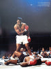 Muhammad Ali: The Tribute