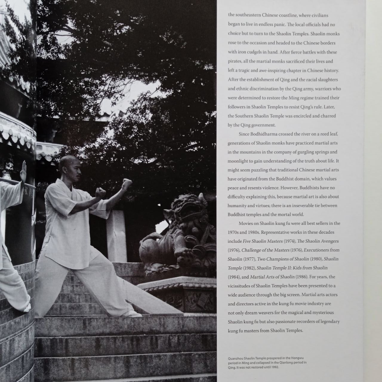 The Art Of Chinese Kung Fu