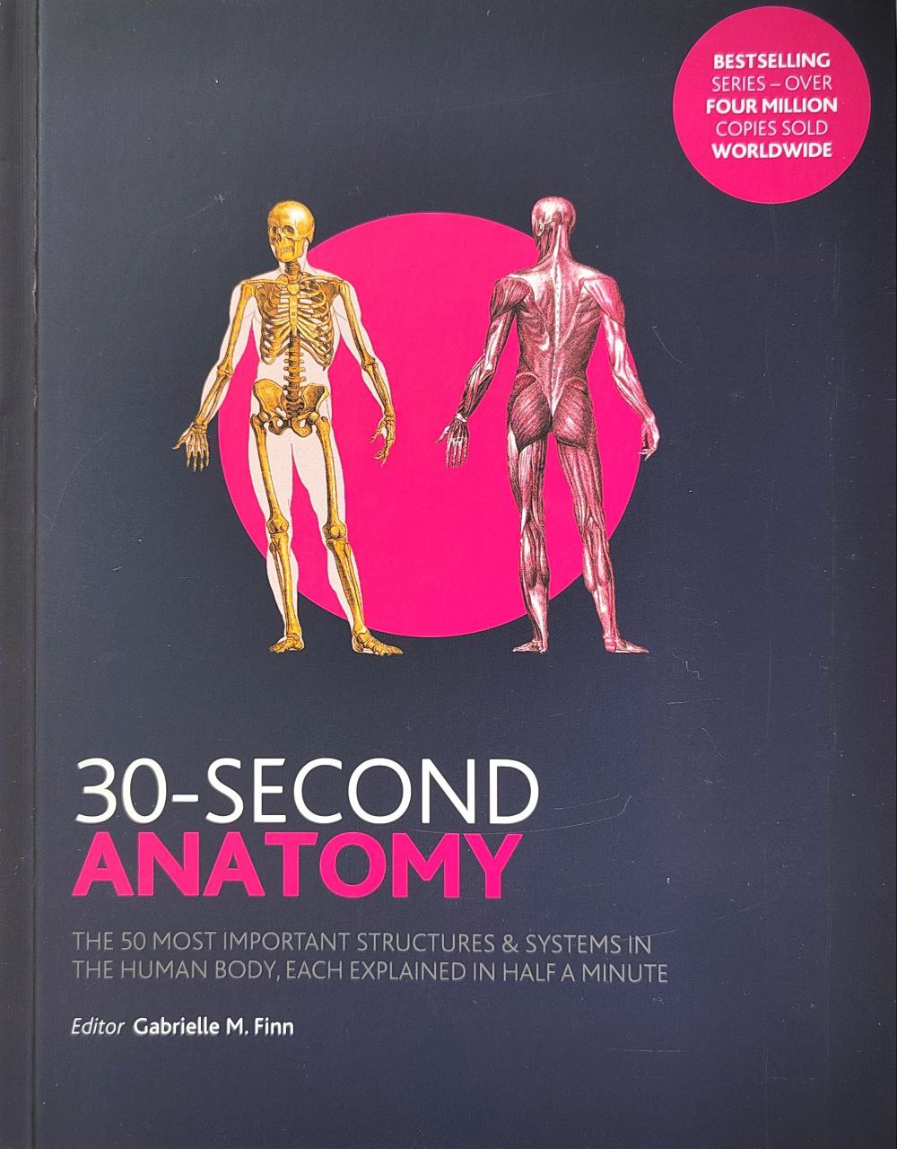 30-Second Anatomy